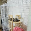 일마레 동물 메디컬 센터 이미지