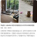 반스힐 리조트 네이버블로그