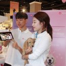 치료멍멍동물병원 이미지