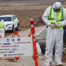 천안메추리농장 이미지