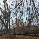 토리근린공원 이미지