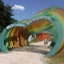 청도레일바이크 이미지