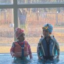 금진농장 이미지