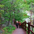 신선계곡 이미지