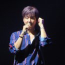 퍼피봉 | 신화 콘서트 후기 # 20주년 콘서트 역대급재미짐