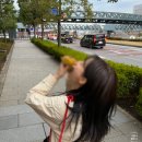 티파니&펫 | [월간나란니 3월-2] 몇 없는 외출 모음