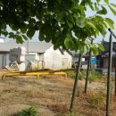 오두리 경로당 이미지