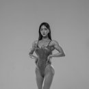 오가닉피티 이미지