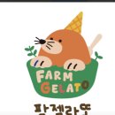 팜젤라또 이미지