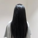 루아르붙임머리 이미지