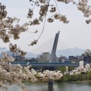 보미문구사 - 4478 | 보미문구사