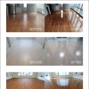 (주)마루펫 이미지