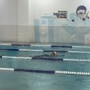 산들수영장 안성점 | 안성어린이수영장 추천! 탄탄한 커리큘럼의 산들수영장 안성점