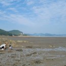 오늘은 바다 펜션 이미지