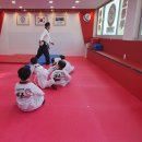 한국체대백궁태권도