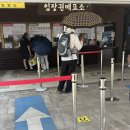 [곡성 아이와 가볼 만한 곳]섬진강기차마을 드림랜드 후기