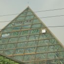 안산 식물원 이미지