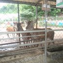 이상만농장 이미지