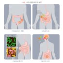 장엔조은내과의원 이미지