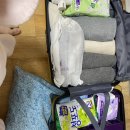 배용식자동차병원 | 복강경 수술 입원 준비물 (자궁내막증 자궁근종 자궁내막용종 _ 강남차병원 4박 5일)