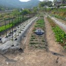 예곡농장 이미지