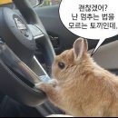 밀양요가원