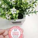 소림마라충주