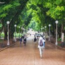 하이드파크 이미지