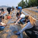 금반초교 이미지