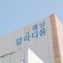 비올라 | 대구 본식 DVD 칼라디움 웨딩 비올라홀 촬영후기