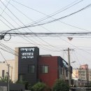 서흘포가든서사라점 | 제주 냉면맛집 대광식당 기대하고 가서 먹고 온 솔직후기