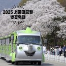 대공원나들길 | 2025 서울대공원 벚꽃축제 일정 낮부터 밤까지 즐길 준비 시작