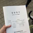 보육실습 | [투잡준비] 보육교사 실습후기,실습서류 실습일지 제출, 실습처 추천