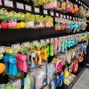 도그마트 이미지