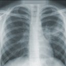 손지식의원 이미지