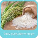 송도선원 네이버블로그