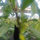 민국농장 이미지