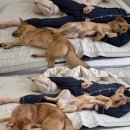 녹색환경연합(주) | 10월 넷째주, 황이 잘가 🐾