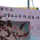 신천지 시몬지파 영등포교회 자원봉사단 "담벼락 이야기" 이미지
