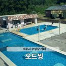 오드씽 제주 수영장 카페 추천 제주 <b>오드씽</b> 물놀이 카페