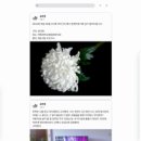 페이크북 이미지