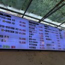대패가조아