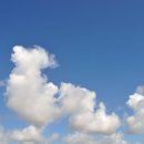 오래오래동물병원 이미지