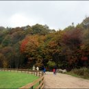 황토목장 이미지