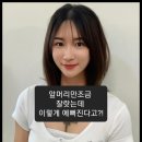 엘리제헤어 - 북구 | 엘리제헤어