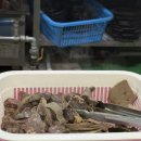 병천순대 광주식당