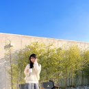 소시담가 이미지