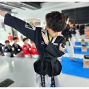 경희대 품태권도장 이미지