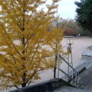 태릉중학교 이미지