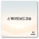 서울 송파 노원 안양 일산 대전 대구 부산 스케이트보드 강습 정보 완벽 정리